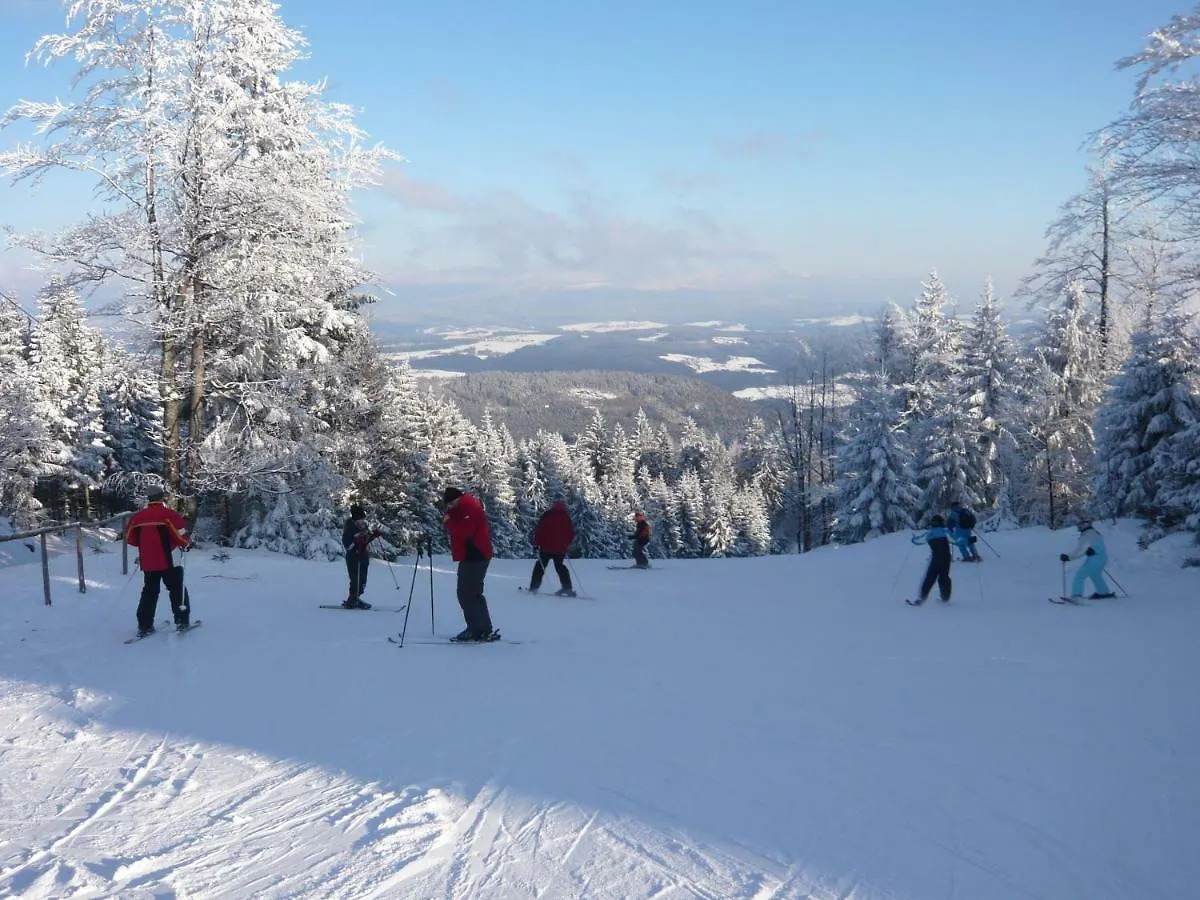 Ferienwohnungen Koenig Bischofsmais 3*,  Tyskland